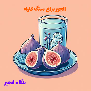 سنگ کلیه انجیر برای سنگ کلیه انجیر